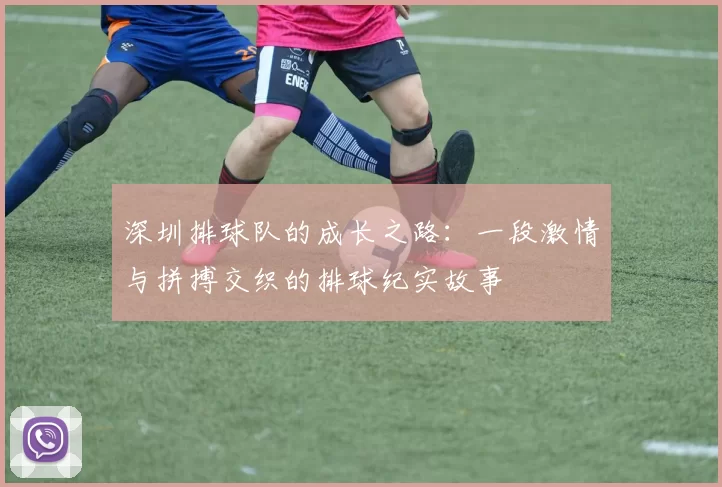 深圳排球队的成长之路：一段激情与拼搏交织的排球纪实故事