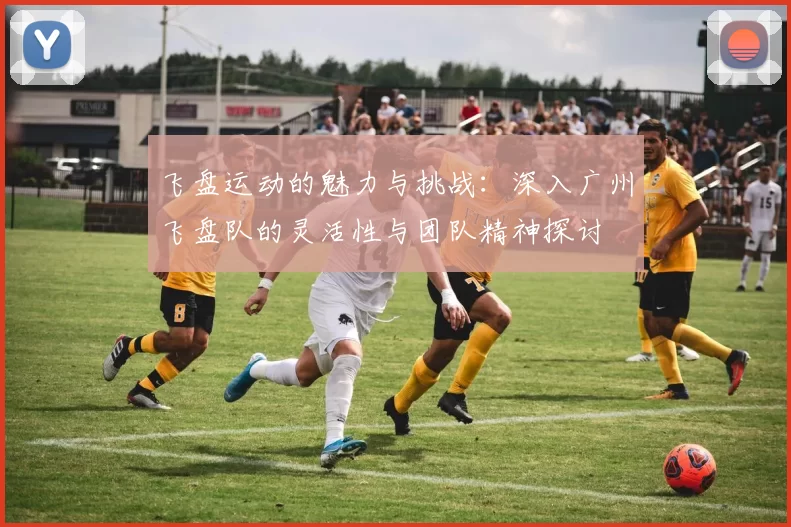 飞盘运动的魅力与挑战：深入广州飞盘队的灵活性与团队精神探讨