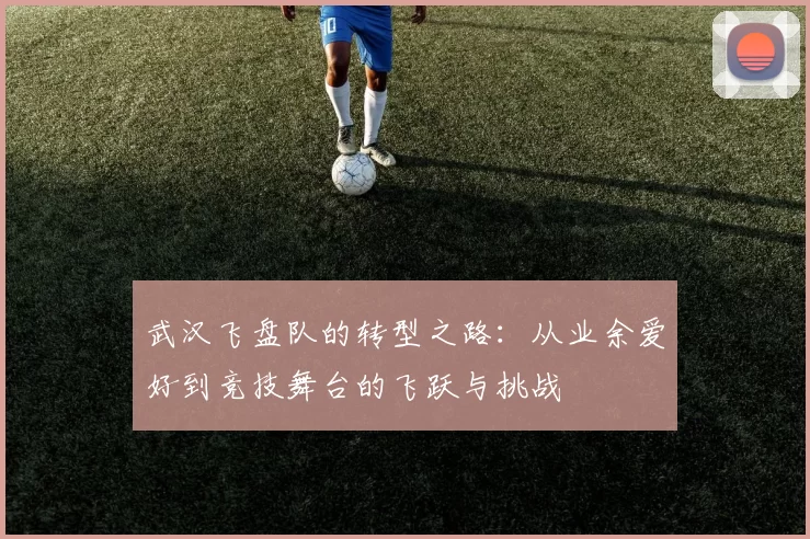 武汉飞盘队的转型之路：从业余爱好到竞技舞台的飞跃与挑战
