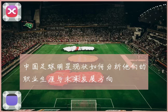 中国足球明星现状如何分析他们的职业生涯与未来发展方向