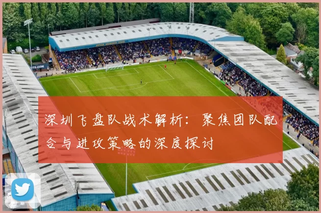 深圳飞盘队战术解析：聚焦团队配合与进攻策略的深度探讨