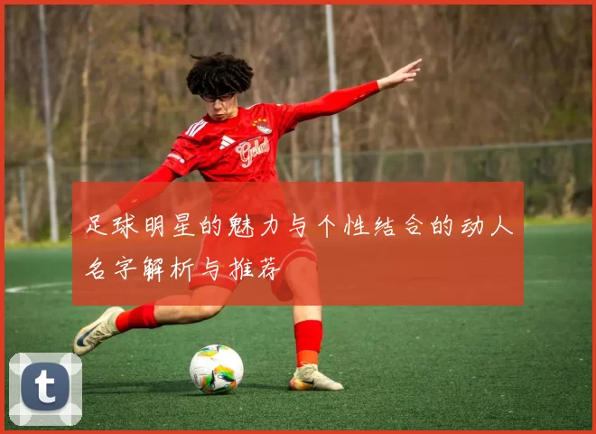 足球明星的魅力与个性结合的动人名字解析与推荐