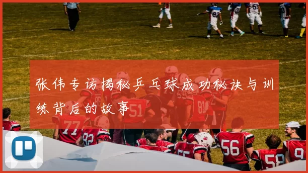 张伟专访揭秘乒乓球成功秘诀与训练背后的故事