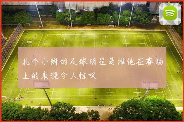 扎个小辫的足球明星是谁他在赛场上的表现令人惊叹