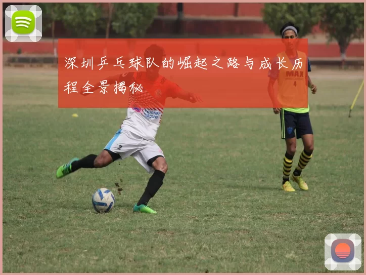 深圳乒乓球队的崛起之路与成长历程全景揭秘