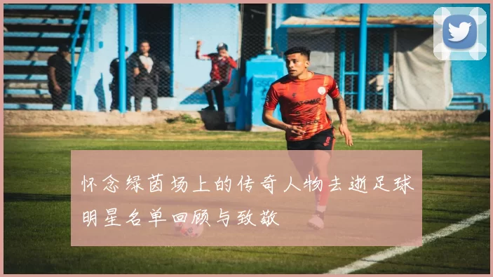 怀念绿茵场上的传奇人物去逝足球明星名单回顾与致敬
