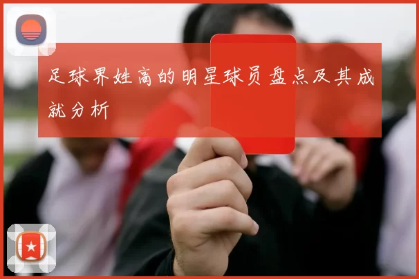 足球界姓高的明星球员盘点及其成就分析