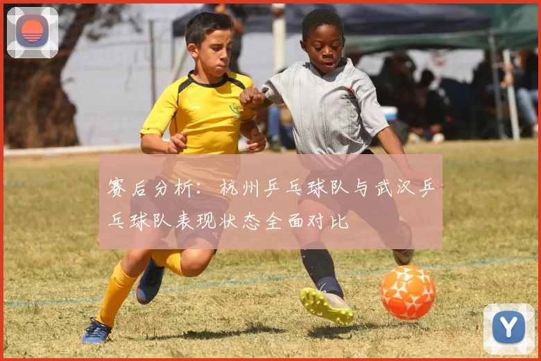 赛后分析：杭州乒乓球队与武汉乒乓球队表现状态全面对比