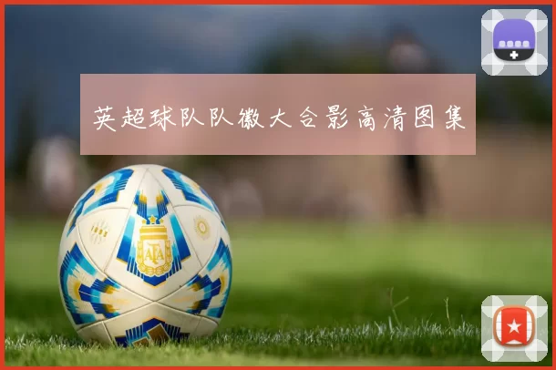 英超球队队徽大合影高清图集