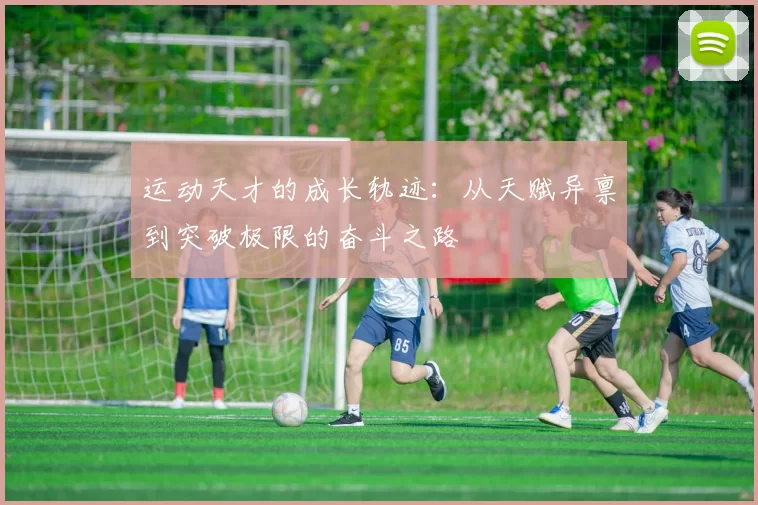 运动天才的成长轨迹：从天赋异禀到突破极限的奋斗之路