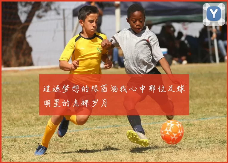 追逐梦想的绿茵场我心中那位足球明星的光辉岁月